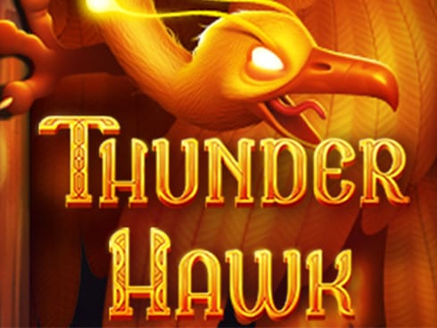 Thunder Hawk game thumbnail